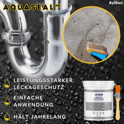 AquaSeal | Protects your home from extreme weather conditions